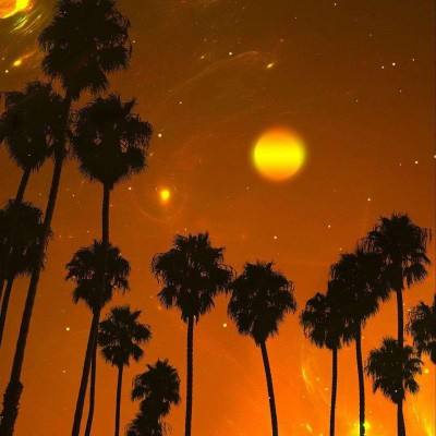 凤凰彩票appapp下载